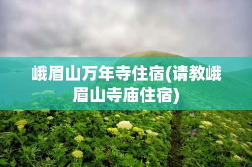峨眉山万年寺住宿(请教峨眉山寺庙住宿)