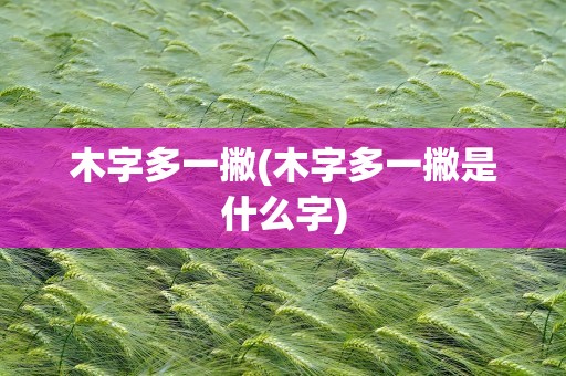 木字多一撇(木字多一撇是什么字)