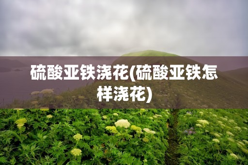 硫酸亚铁浇花(硫酸亚铁怎样浇花)