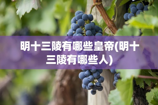 明十三陵有哪些皇帝(明十三陵有哪些人)