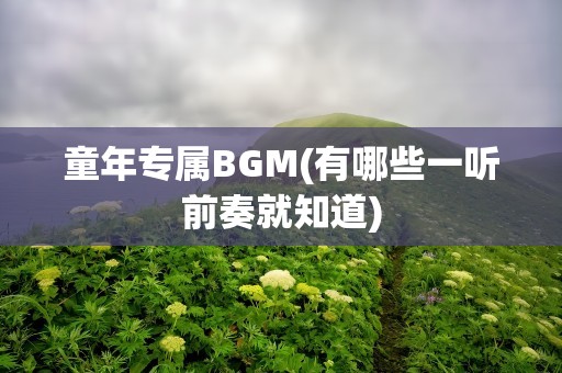 童年专属BGM(有哪些一听前奏就知道)