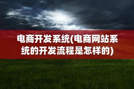 电商开发系统(电商网站系统的开发流程是怎样的)