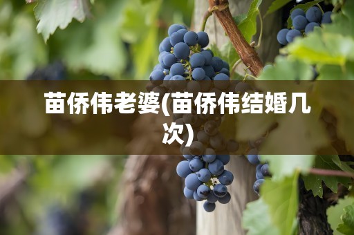 苗侨伟老婆(苗侨伟结婚几次)