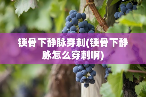 锁骨下静脉穿刺(锁骨下静脉怎么穿刺啊)