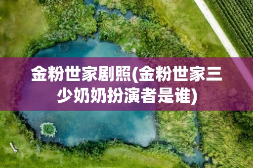 金粉世家剧照(金粉世家三少奶奶扮演者是谁)