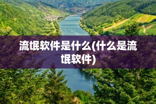 流氓软件是什么(什么是流氓软件)