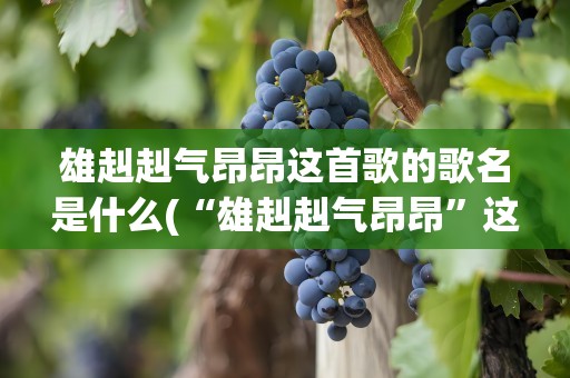 雄赳赳气昂昂这首歌的歌名是什么(“雄赳赳气昂昂”这首歌的歌名是什么)