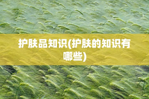 护肤品知识(护肤的知识有哪些)
