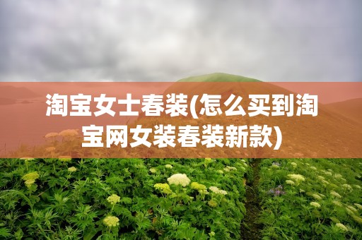 淘宝女士春装(怎么买到淘宝网女装春装新款)