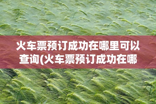 火车票预订成功在哪里可以查询(火车票预订成功在哪里可以查询到)