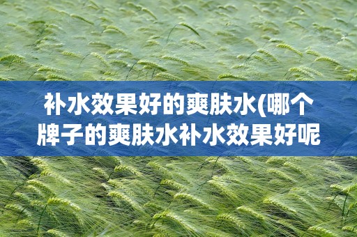 补水效果好的爽肤水(哪个牌子的爽肤水补水效果好呢)