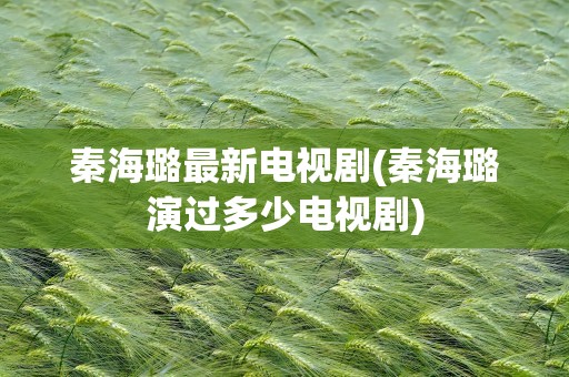 秦海璐最新电视剧(秦海璐演过多少电视剧)
