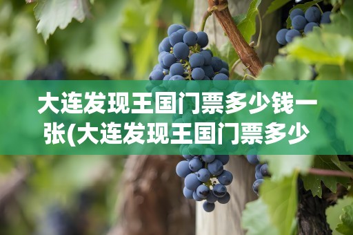 大连发现王国门票多少钱一张(大连发现王国门票多少钱一张夜场)