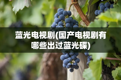 蓝光电视剧(国产电视剧有哪些出过蓝光碟)