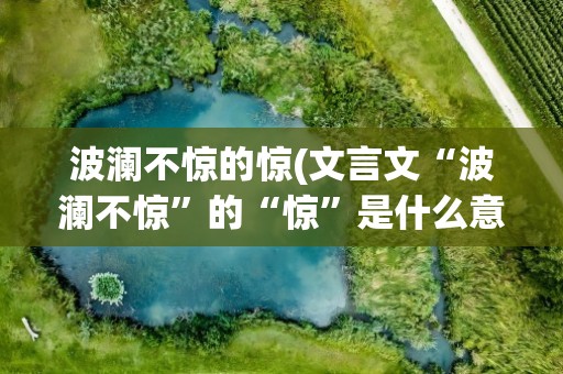 波澜不惊的惊(文言文“波澜不惊”的“惊”是什么意思)