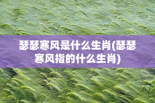 瑟瑟寒风是什么生肖(瑟瑟寒风指的什么生肖)
