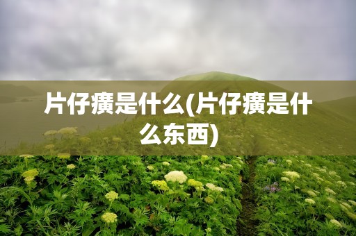 片仔癀是什么(片仔癀是什么东西)