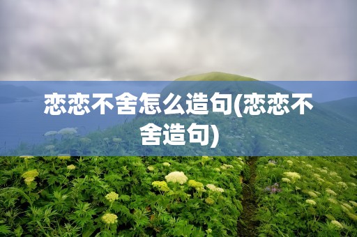 恋恋不舍怎么造句(恋恋不舍造句)
