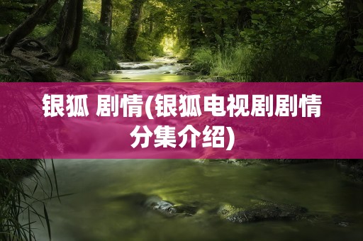 银狐 剧情(银狐电视剧剧情分集介绍)
