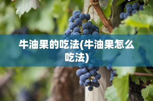 牛油果的吃法(牛油果怎么吃法)