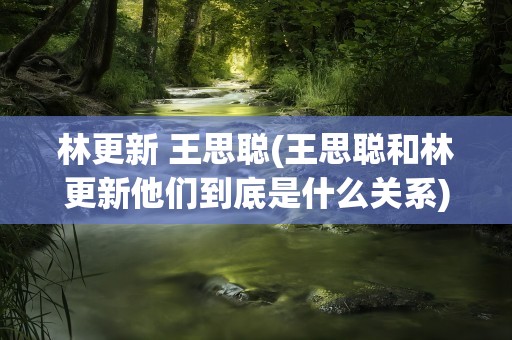 林更新 王思聪(王思聪和林更新他们到底是什么关系)