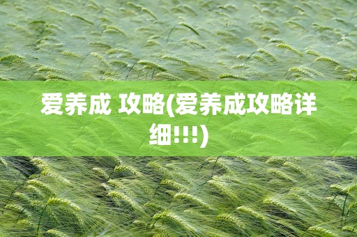 爱养成 攻略(爱养成攻略详细!!!)