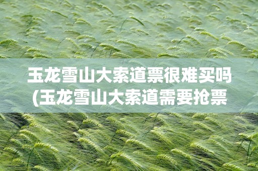 玉龙雪山大索道票很难买吗(玉龙雪山大索道需要抢票吗)