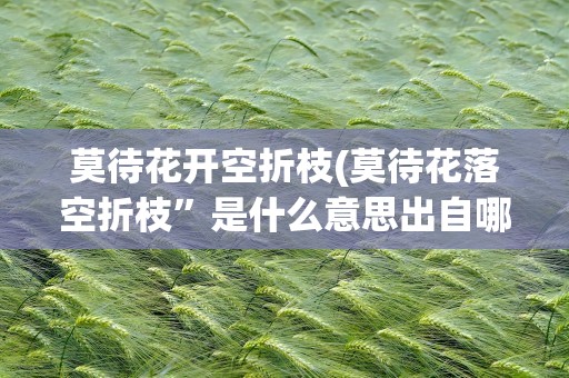 莫待花开空折枝(莫待花落空折枝”是什么意思出自哪里)