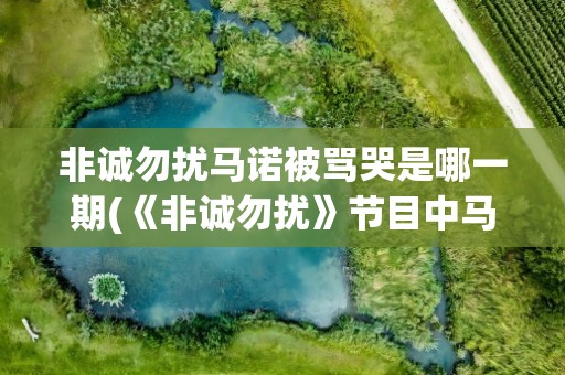 非诚勿扰马诺被骂哭是哪一期(《非诚勿扰》节目中马诺被骂哭是第几期)