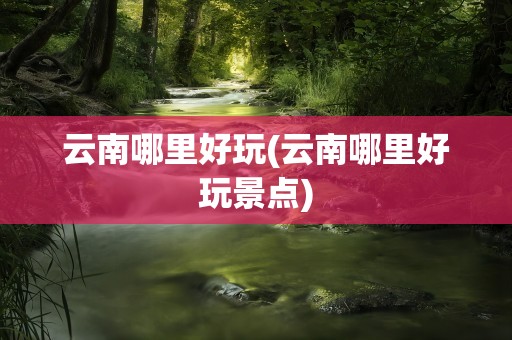 云南哪里好玩(云南哪里好玩景点)