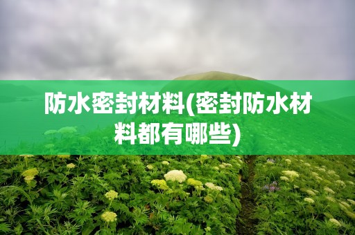 防水密封材料(密封防水材料都有哪些)