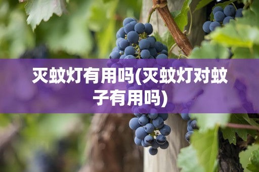 灭蚊灯有用吗(灭蚊灯对蚊子有用吗)