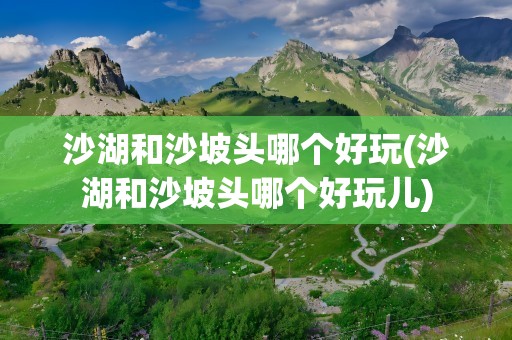 沙湖和沙坡头哪个好玩(沙湖和沙坡头哪个好玩儿)