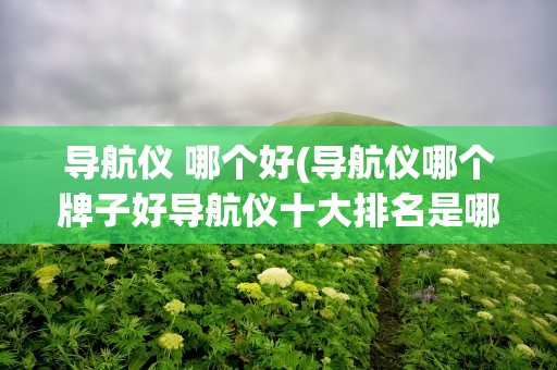导航仪 哪个好(导航仪哪个牌子好导航仪十大排名是哪几个)