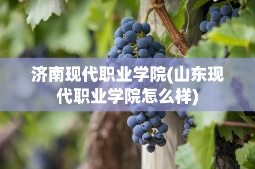 济南现代职业学院(山东现代职业学院怎么样)