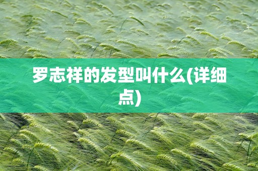 罗志祥的发型叫什么(详细点)