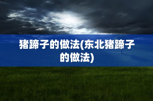 猪蹄子的做法(东北猪蹄子的做法)