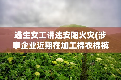 逃生女工讲述安阳火灾(涉事企业近期在加工棉衣棉裤)