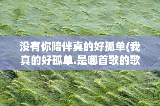 没有你陪伴真的好孤单(我真的好孤单.是哪首歌的歌词)