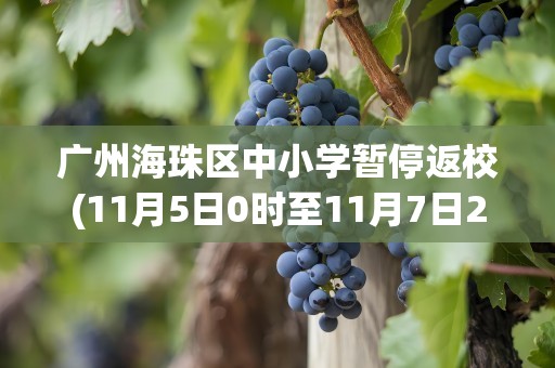 广州海珠区中小学暂停返校(11月5日0时至11月7日24时广州海珠中小学暂停返校)
