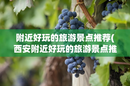 附近好玩的旅游景点推荐(西安附近好玩的旅游景点推荐)