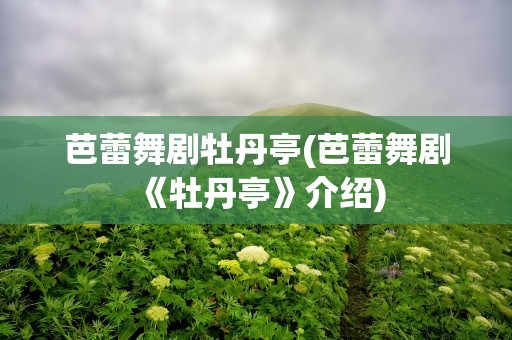 芭蕾舞剧牡丹亭(芭蕾舞剧《牡丹亭》介绍)