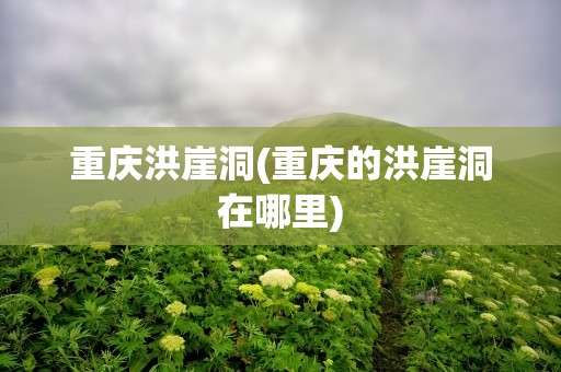 重庆洪崖洞(重庆的洪崖洞在哪里)