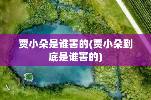 贾小朵是谁害的(贾小朵到底是谁害的)