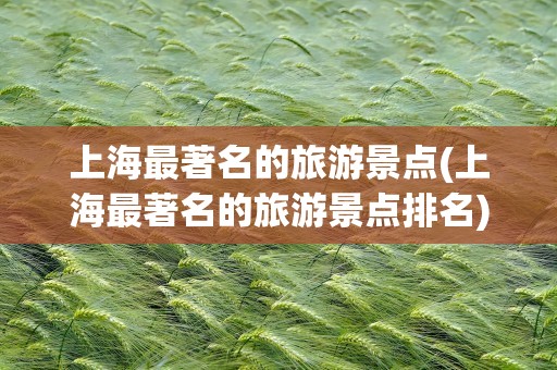 上海最著名的旅游景点(上海最著名的旅游景点排名)