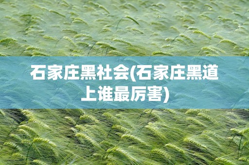 石家庄黑社会(石家庄黑道上谁最厉害)