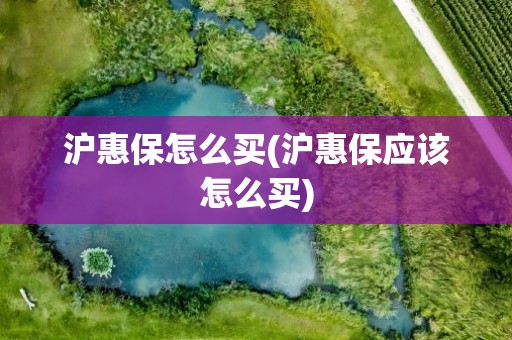 沪惠保怎么买(沪惠保应该怎么买)