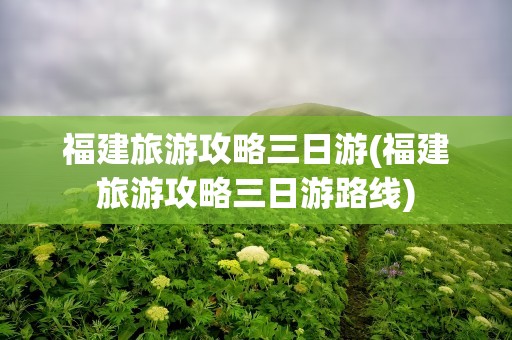 福建旅游攻略三日游(福建旅游攻略三日游路线)
