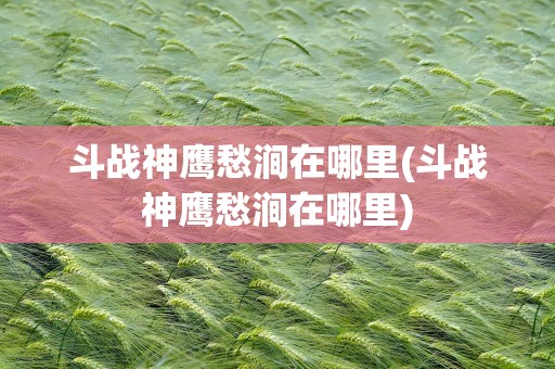 斗战神鹰愁涧在哪里(斗战神鹰愁涧在哪里)