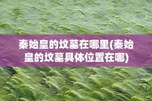 秦始皇的坟墓在哪里(秦始皇的坟墓具体位置在哪)